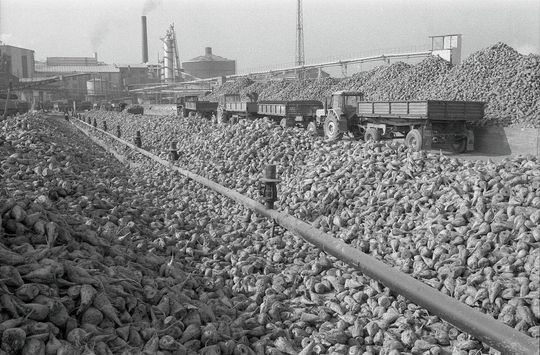 Cukrownia w Lublinie