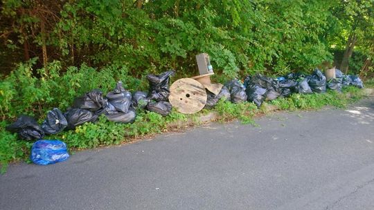 World Cleanup Day 2020 w Lublinie