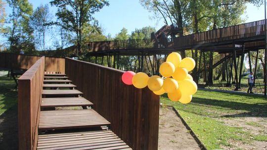 Małpi Gaj w Białej Podlaskiej 