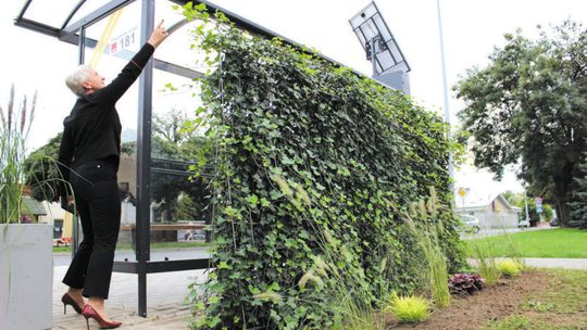 Zielone przystanki w polskich miastach