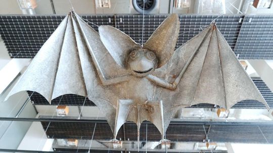 Zwierzęta Wilkonia w CSK