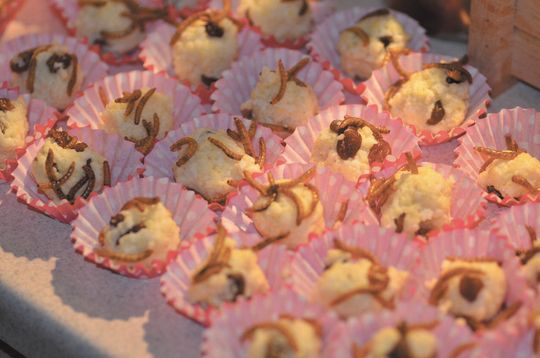 Kulki jaglane na słodko z larwami mącznika młynarka