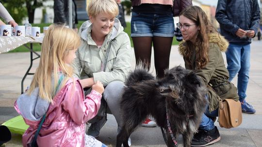 Światowy Dzień Zwierząt w Lublinie