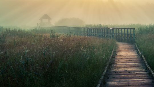 Laureaci konkursu fotograficznego - Kierunek lubelskie krajobrazy Laureaci konkursu fotograficznego - Kierunek lubelskie krajobrazy