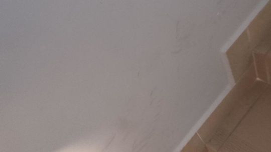 Mieszkania Plus w Białej Podlaskiej. Mieszkaniec skarży się na brudne klatki 