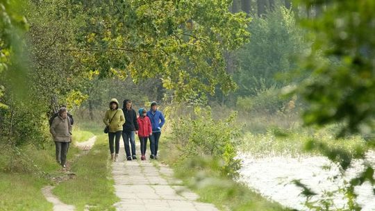 Relaks nad Zalewem Zemborzyckim w Dąbrowie