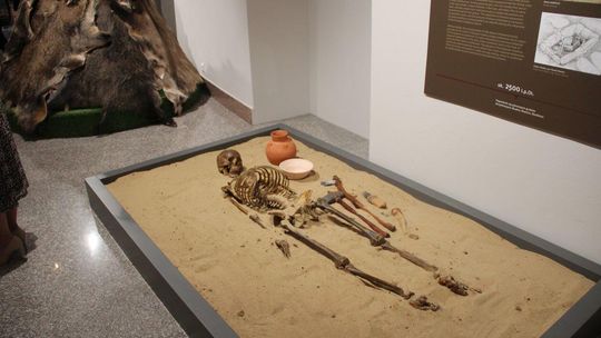 Muzeum Południowego Podlasia otwarte po remoncie Muzeum Południowego Podlasia otwarte po remoncie