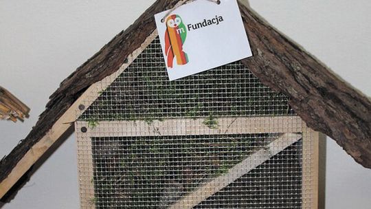 Zwycięskie domy dla owadów