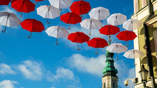Zamość. Parasolki na 11 listopada Zamość. Parasolki na 11 listopada
