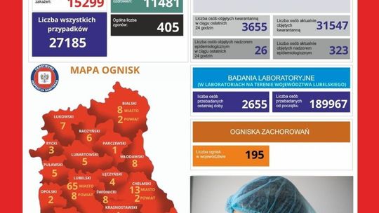 Dzienne dane dotyczące sytuacji epidemicznej (7 listopada 2020 r.)