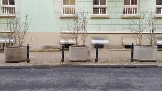 Donice z drzewami w Lublinie w nowych lokalizacjach