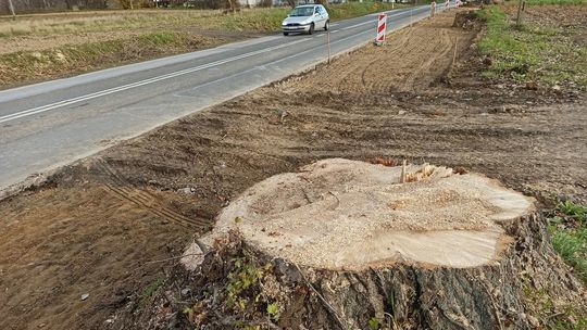 Wycinka drzew pod chodnik w Sadurkach