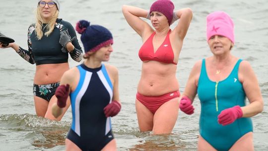 Lubelskie morsy zażywały kąpieli w Zalewie Zemborzyckim