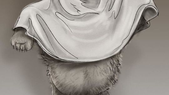 Propozycje figurek w Chełmie