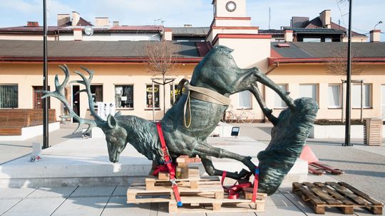 Montaż pomnika jelenia w Parczewie Montaż pomnika jelenia w Parczewie