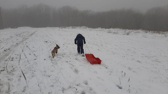 Zaśnieżona Kumowa Dolina w Chełmie