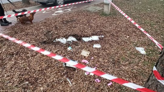 Odpady medyczne wyrzucone przy ul. Choiny w Lublinie