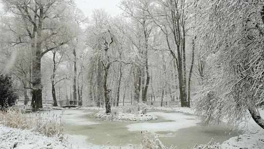 Intensywne opady śniegu w Lublinie