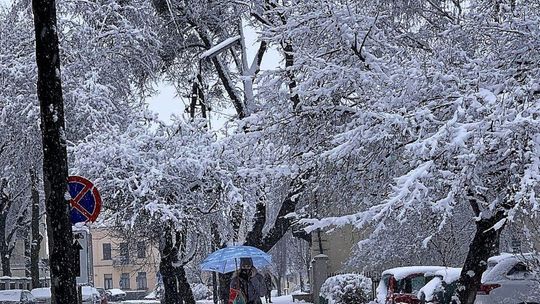 Śnieg na chełmskich ulicach