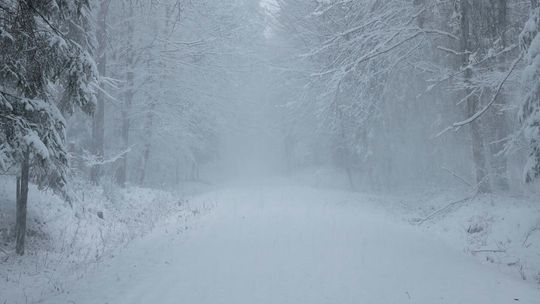 Zima w Roztoczańskim Parku Narodowym