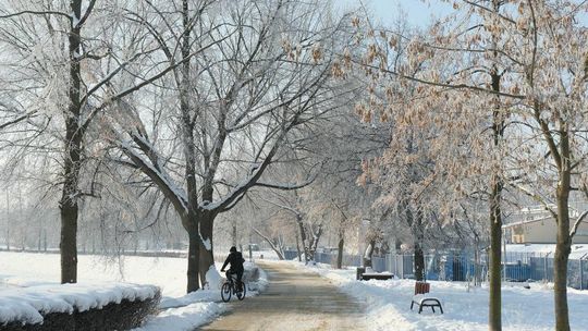 Szadź nad Bystrzycą w Lublinie