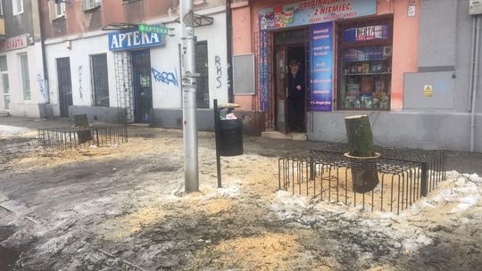 Wycinka drzew w okolicach dworca PKP