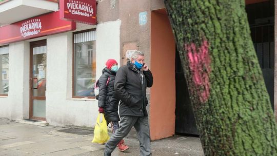 Wycinka drzew w sąsiedztwie placu budowy nowego dworca 