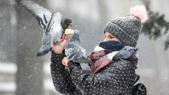 Lublin pod śniegiem. Luty 2021