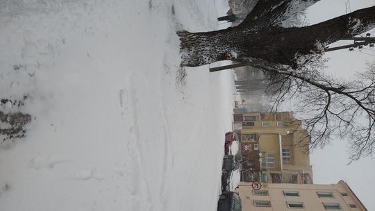 Lutowy atak zimy w Chełmie