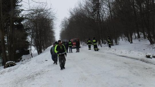 Poszukiwania zaginionych krów