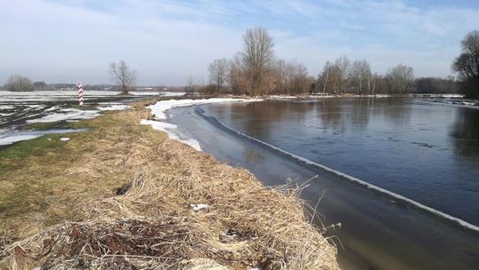 Kontrola stanu wody w rzece Krznie i Bug