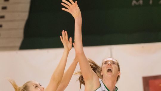 Pszczółka Polski Cukier AZS UMCS Lublin - 1KS Ślęza Wrocław