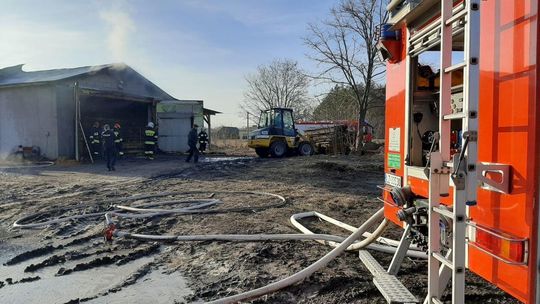 Pożar suszarni Lipsko Polesie