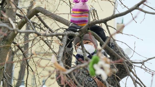 Bombardowanie włóczką przed Centrum Kultury