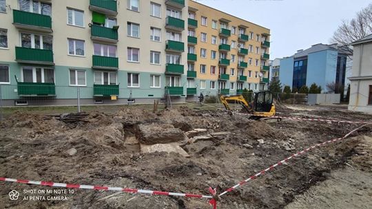 Piwnice w Hrubieszowie Piwnice w Hrubieszowie