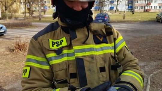 Strażacy ratują gołębia
