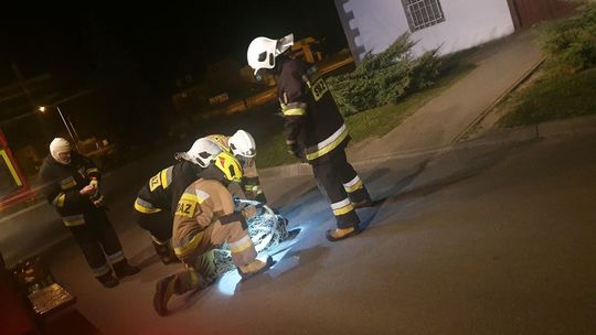 łapanie bobra łapanie bobra