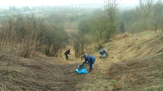 Sprzątanie Górek Czechowskich
