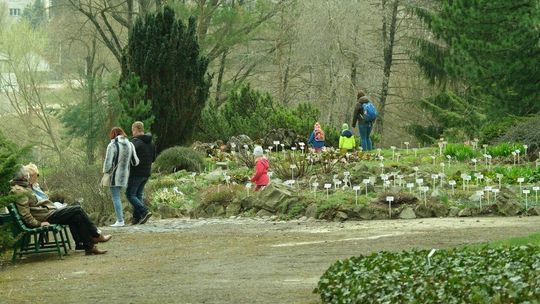 Ogród Botaniczny UMCS już otwarty dla zwiedzających