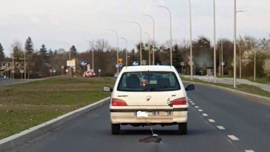 Kierowcy zatrzymali samochód, za którym był ciągnięty pies