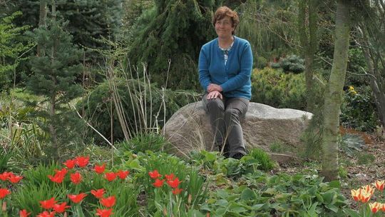 Spokój, cierpliwość i natura, czyli ogrodowe przebudzenie