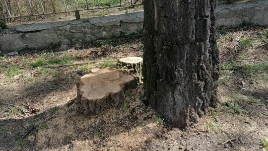 ul. Piłsudskiego w Zamościu