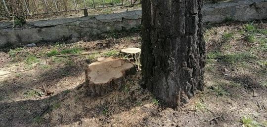 ul. Piłsudskiego w Zamościu