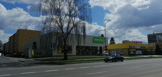 Nikłe szanse, żeby przeżyła remont ulicy