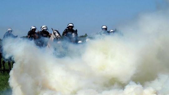 Sprawdzian koni do pracy w policji