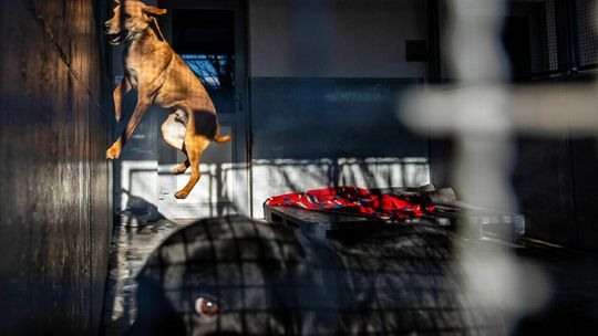 Czterech lubelskich fotoreporterów z nagrodami Grand Press Photo 2021 Czterech lubelskich fotoreporterów z nagrodami Grand Press Photo 2021