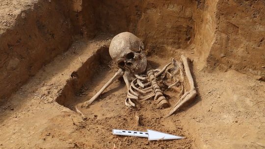 Odkrycia archeologiczne przy ul. Spokojnej