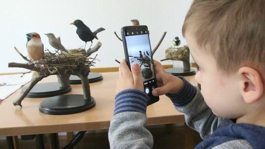 Otwarcie ścieżki ornitologicznej w lubelskim skansenie Otwarcie ścieżki ornitologicznej w lubelskim skansenie