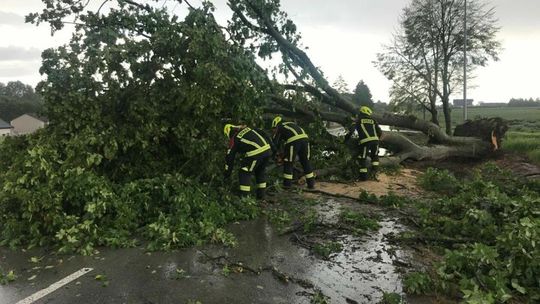 Drzewo tarasuje przejazd drogą Drzewo tarasuje przejazd drogą