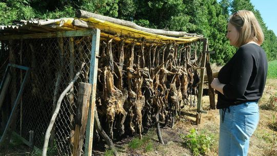 Makabryczne odkrycie w Stasinie